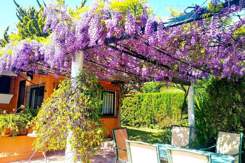 Villa Torrenueva Malaga Ngoại thất bức ảnh