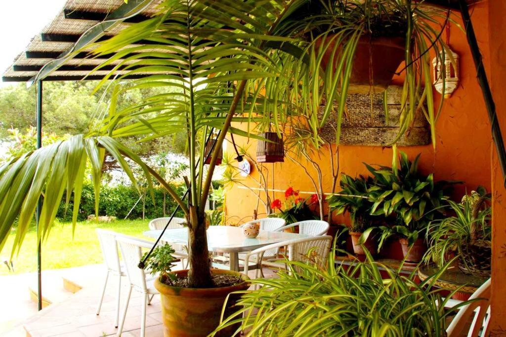 Villa Torrenueva Malaga Ngoại thất bức ảnh